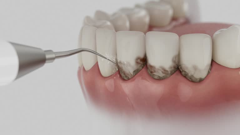 Reliable Dental contractor in Wayne County County, MI by Dentist Open Now